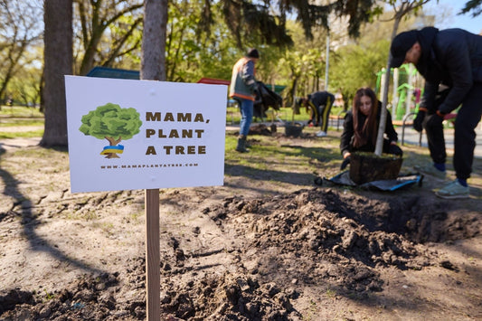 Mama, Plant a Tree