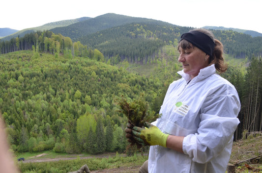 From Product to Forest – The First Trees Are in the Ground!